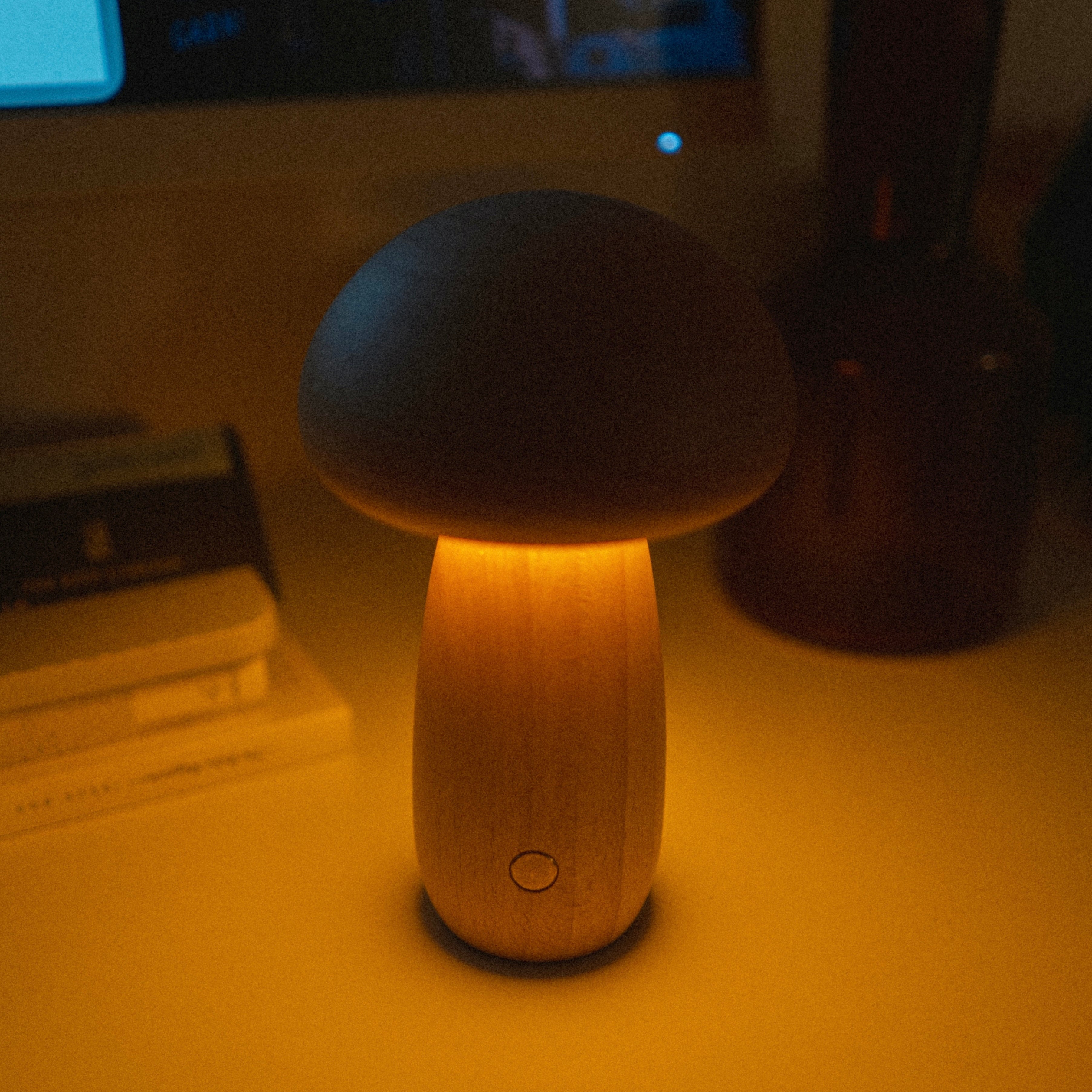 Wooden Fungi Lamp