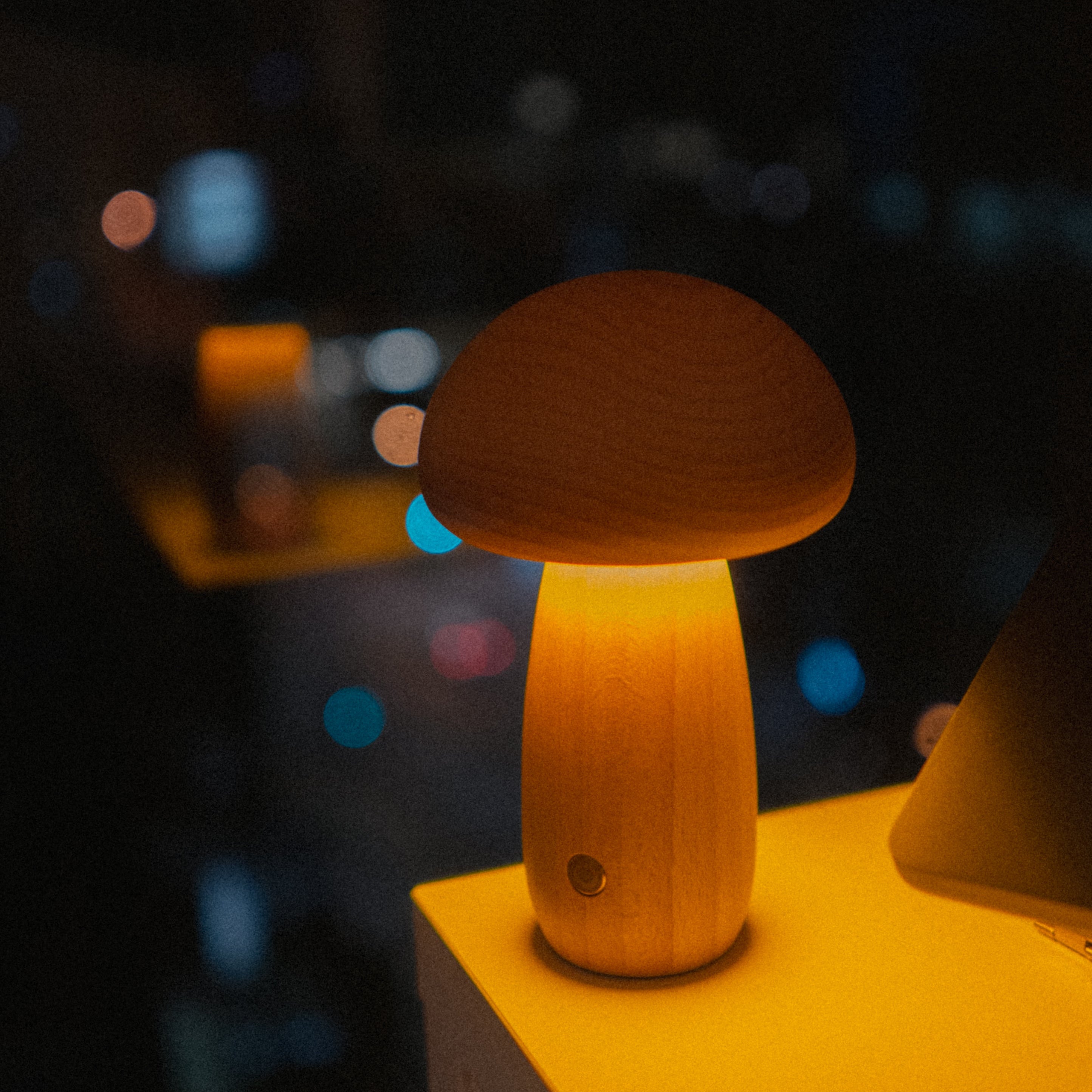 Wooden Fungi Lamp